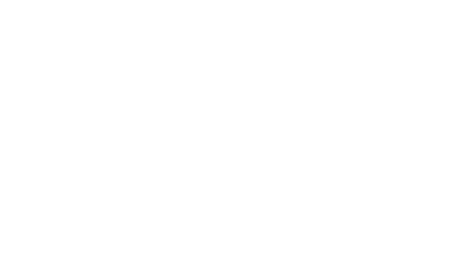 Fi  logo